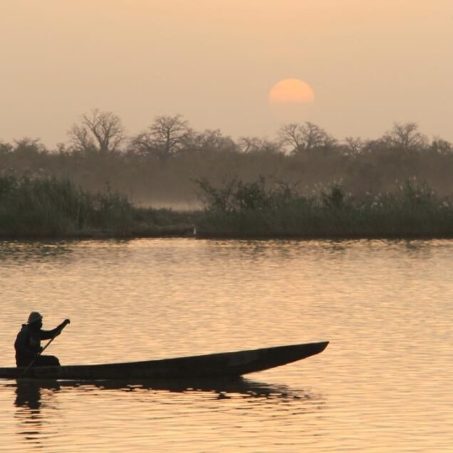 Oeste de África (Senegal & Gambia)
